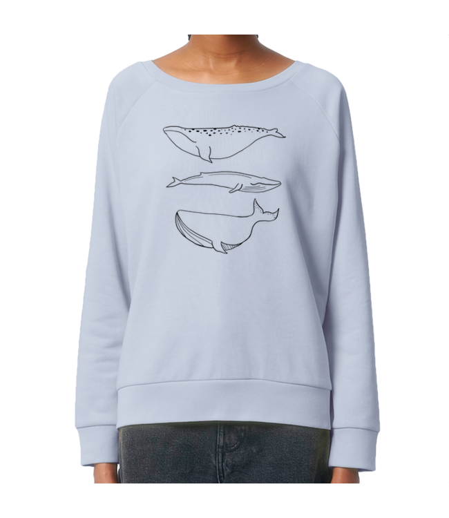 Boylo's Womens Whale Jumper - Serene Blue