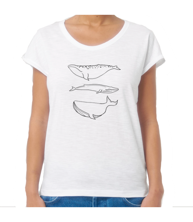 Boylo's Womens Whale Top White