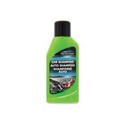 Protecton Auto Shampoo 500ml