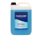 Carchemicals Glass Cleaner 5L