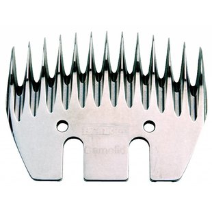 Camelid voor Kamelen