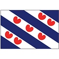 Friese vlag