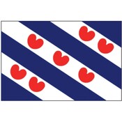 Friese vlag