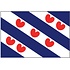 Friese vlag