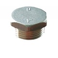 Messing plug buitendraad