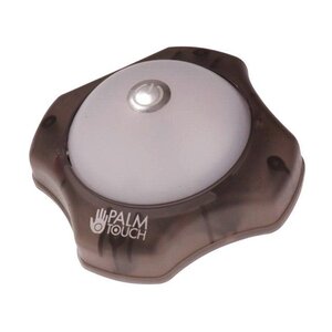 Palmtouch light