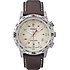 Timex IQ E- Compass Titanium