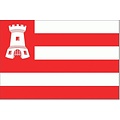 Alkmaarse vlag
