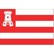 Alkmaarse vlag