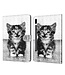 Kitten Bookcase Hoesje voor de Samsung Galaxy Tab S7