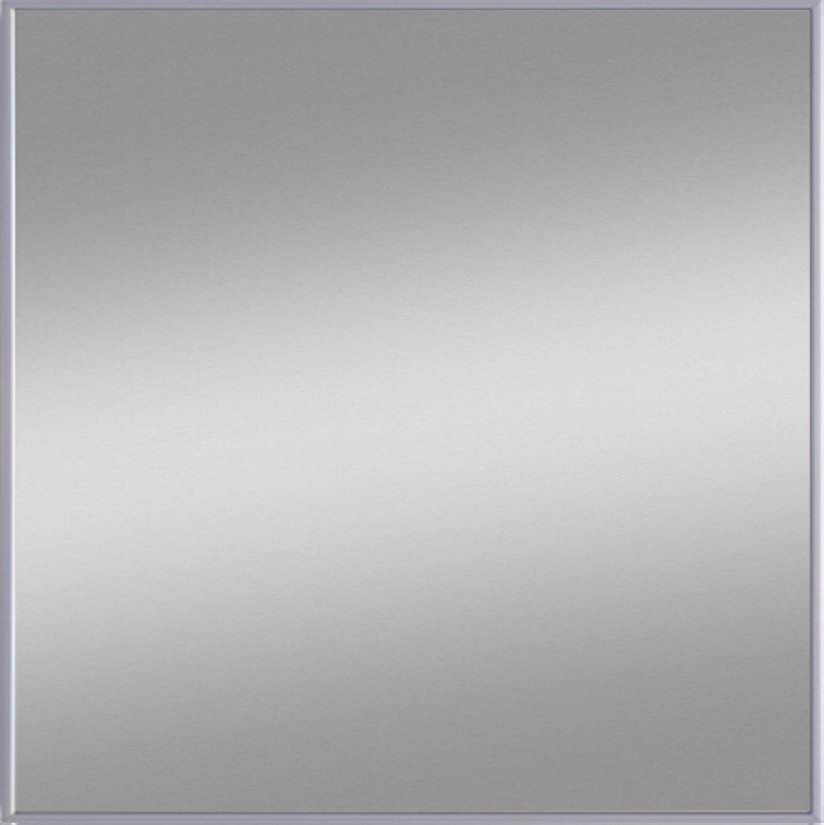 Zalena Rahmenspiegel Trafic