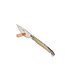 Laguiole en Aubrac pizzames punthoorn