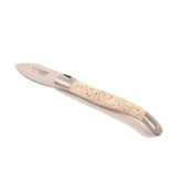 Laguiole en Aubrac oestermes met heft in oesterschelpen