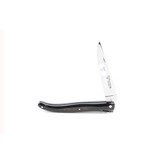 Laguiole en Aubrac 12 cm croute de buffle - plein manche - glanzend