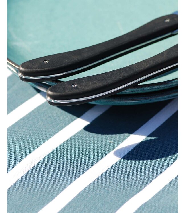 Laguiole en Aubrac 6 steakmessen ecir - paperstone