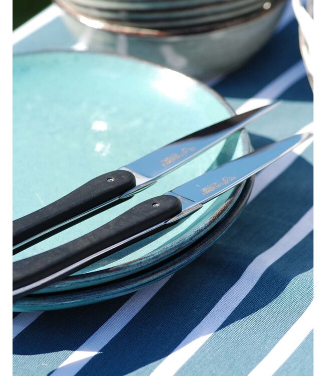 Laguiole en Aubrac 6 steakmessen ecir - paperstone