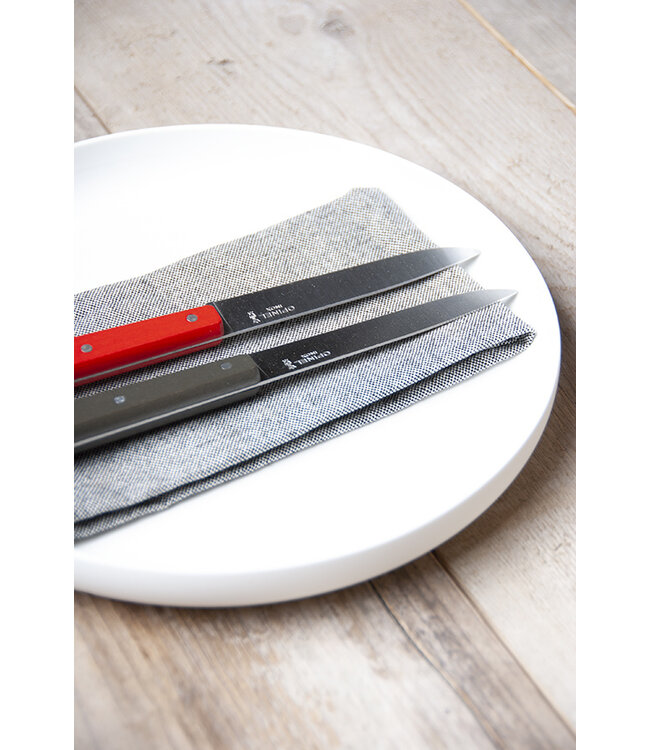 Opinel tafelmessen met gekleurde heften ('Loft')