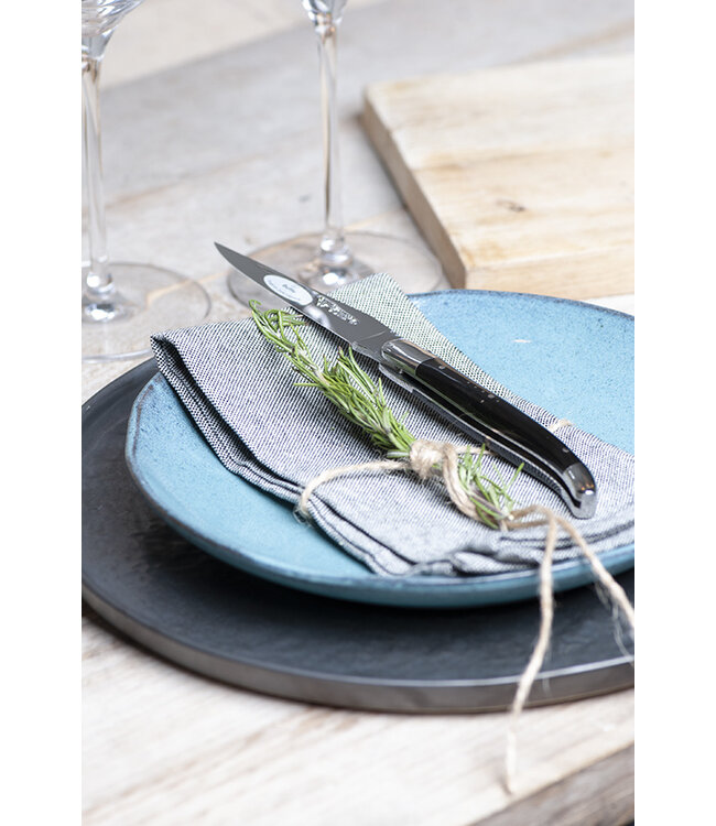 Laguiole en Aubrac 6 steakmessen hoorn variaties - glanzend