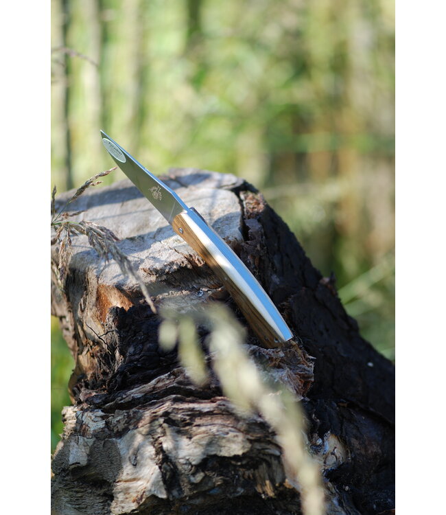 Camembert 11cm pistachehout