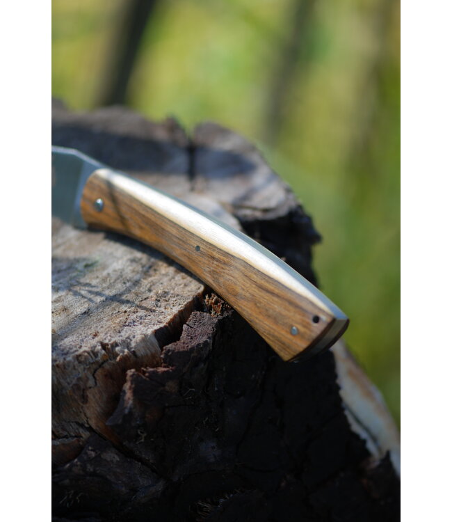 Camembert 11cm pistachehout