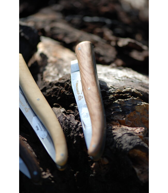 Laguiole en Aubrac Le randonneur eik