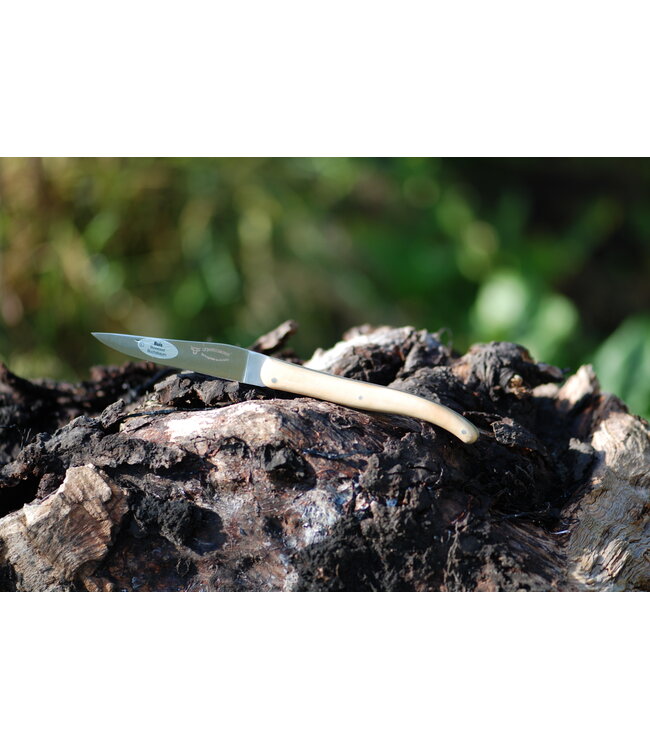 Laguiole en Aubrac Le randonneur buxus