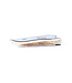 Laguiole en Aubrac Belle Pièce - 12cm mammoetivoor korst - plein manche - mat