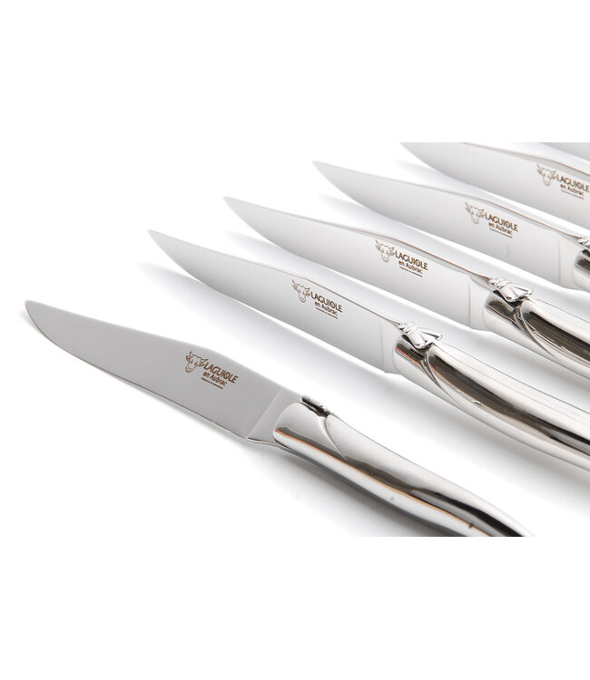 Laguiole en Aubrac 6 steakmessen rvs - glanzend