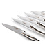 Laguiole en Aubrac 6 steakmessen rvs - glanzend