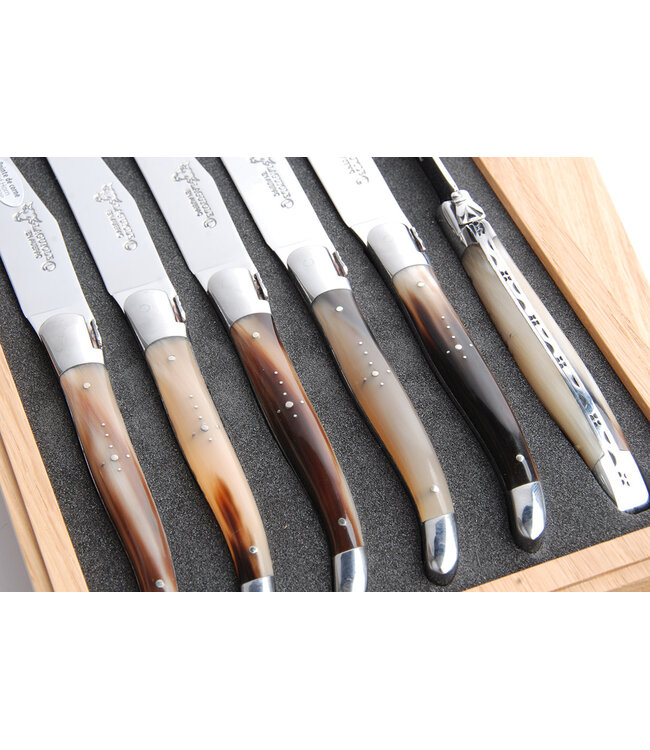 Laguiole en Aubrac 6 steakmessen punthoorn - gevlamd