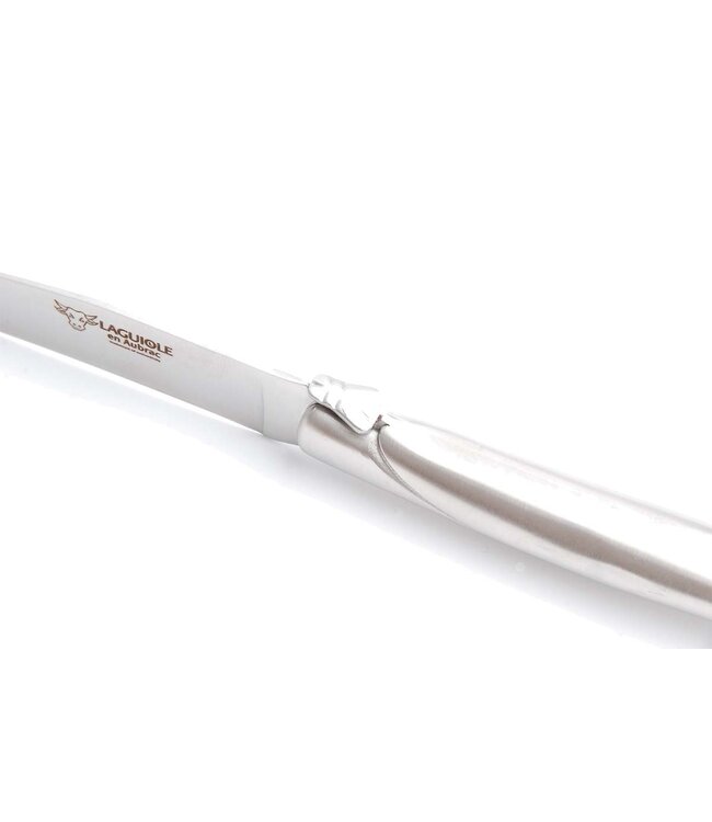 Laguiole en Aubrac 6 steakmessen rvs - mat