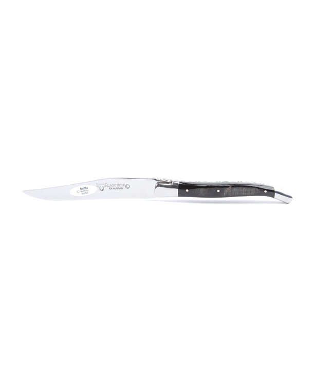 Laguiole en Aubrac 6 steakmessen hoorn variaties - glanzend