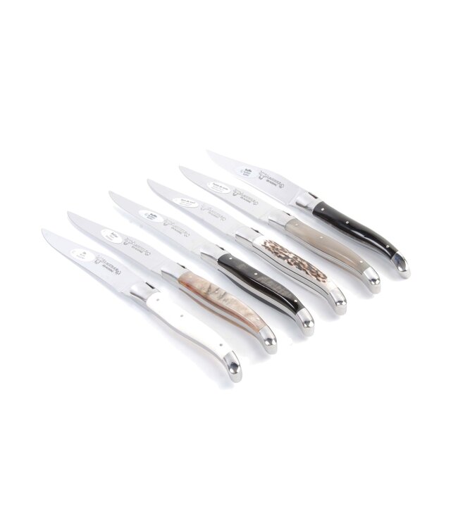 Laguiole en Aubrac 6 steakmessen hoorn variaties - glanzend