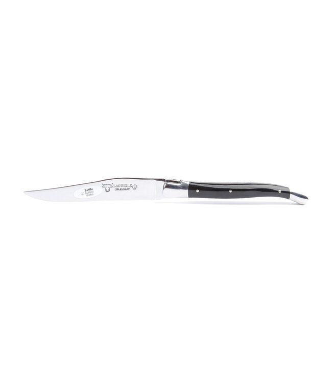 Laguiole en Aubrac 6 steakmessen hoorn variaties - glanzend
