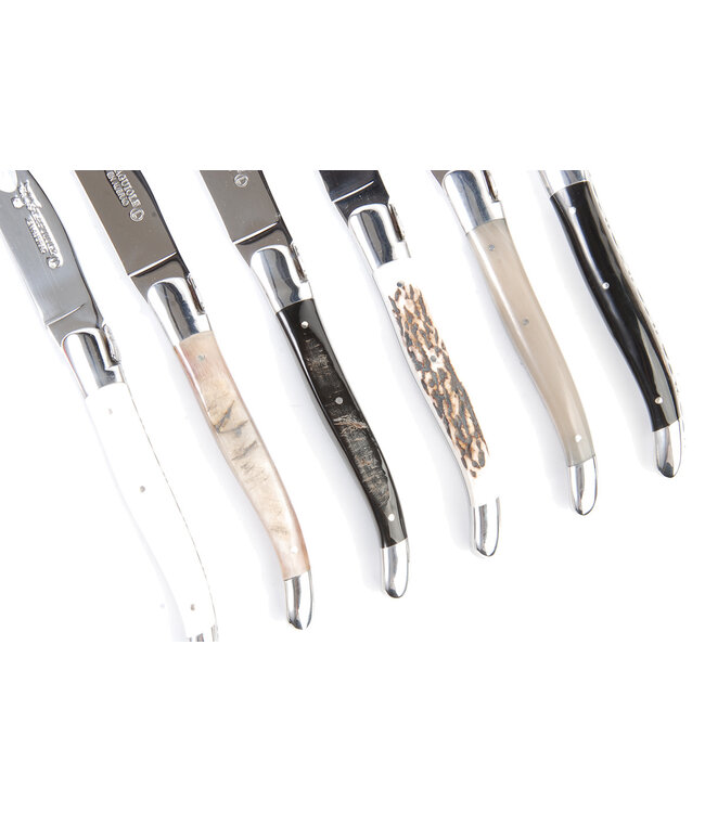 Laguiole en Aubrac 6 steakmessen hoorn variaties - glanzend