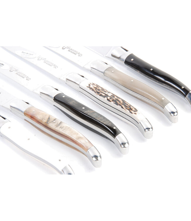 Laguiole en Aubrac 6 steakmessen hoorn variaties