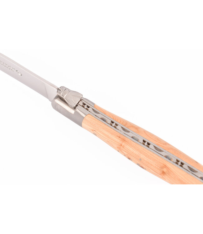 Laguiole en Aubrac 6 steakmessen jeneverbes - mat