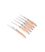 Laguiole en Aubrac 6 steakmessen jeneverbes - mat