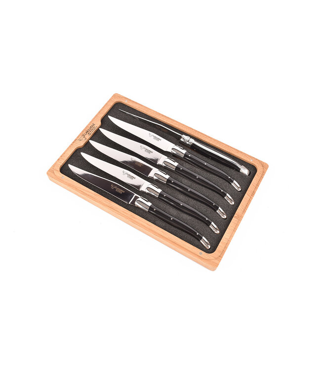 Laguiole en Aubrac 6 steakmessen corian - glanzend
