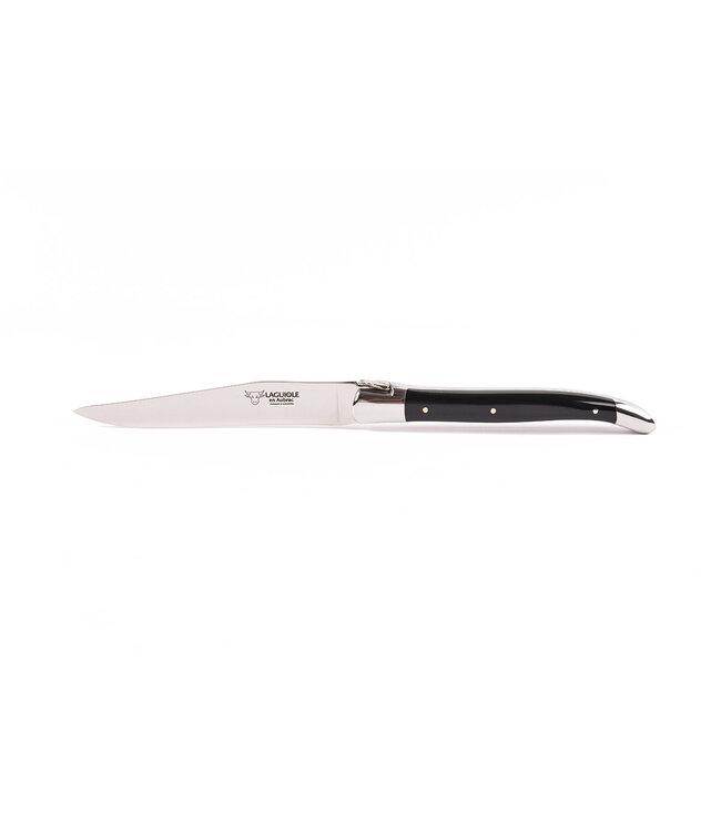 Laguiole en Aubrac 6 steakmessen corian - glanzend