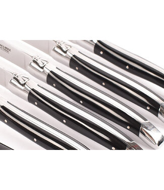 Laguiole en Aubrac 6 steakmessen corian