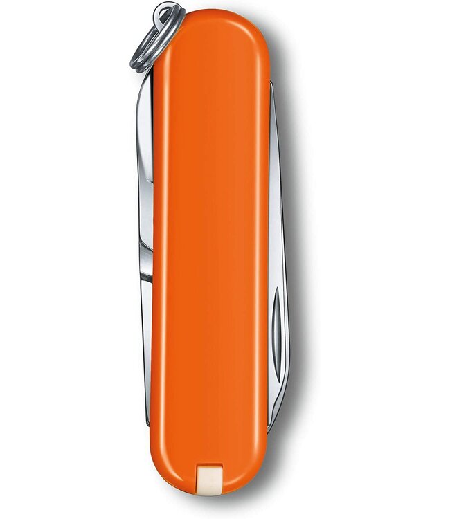 Victorinox Classic SD oranje