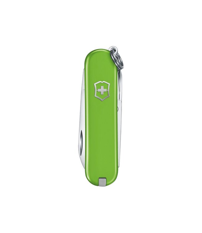 Victorinox Classic SD avocado groen