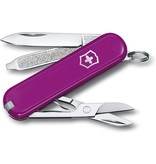 Victorinox Classic SD paars