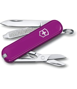 Victorinox Classic SD paars