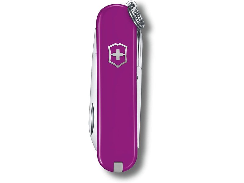 Victorinox Classic SD paars