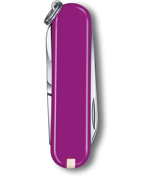 Victorinox Classic SD paars