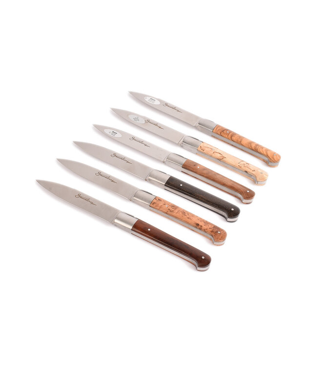 Sauveterre 6 steakmessen met heft in verschillende houtsoorten