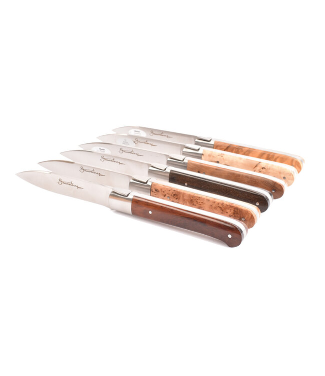 Sauveterre 6 steakmessen met heft in verschillende houtsoorten