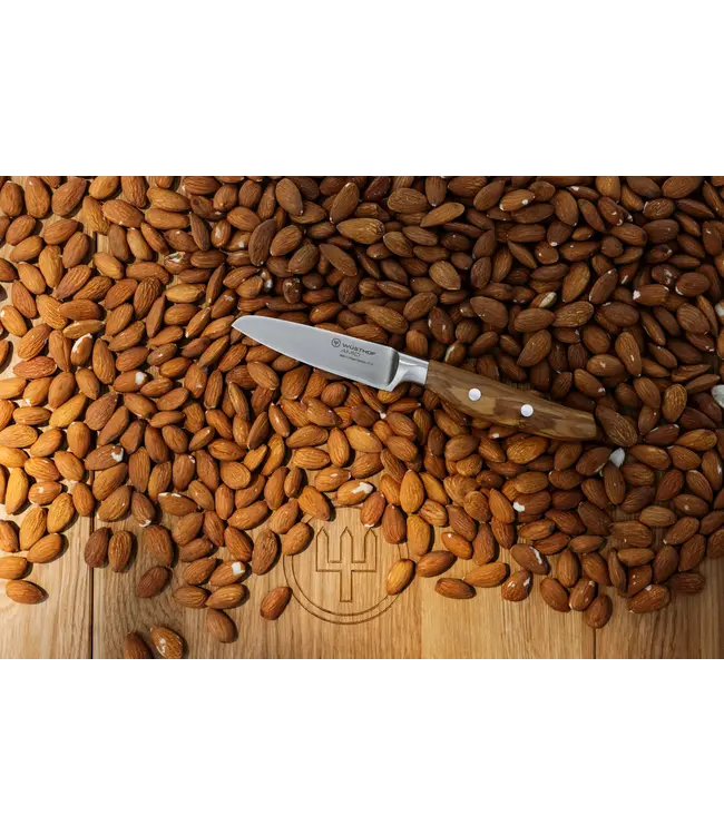 Wusthof Amici officemes 9cm